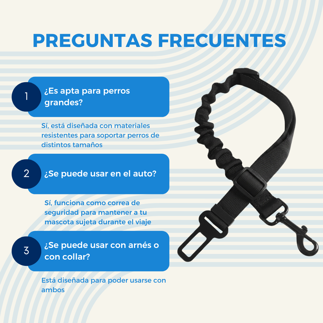 Preguntas frecuentes sobre el cintur&oacute;n de seguridad para perros